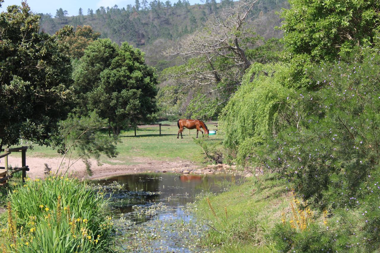 Wittedrif Kingfisher Cottage At Boschrivier Farm Plettenberg Bay מראה חיצוני תמונה