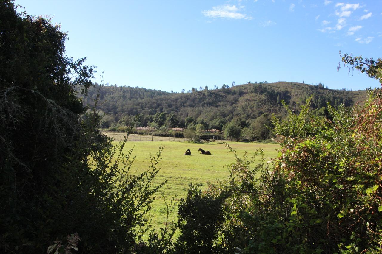 Wittedrif Kingfisher Cottage At Boschrivier Farm Plettenberg Bay מראה חיצוני תמונה